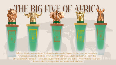 The Lion - N°1 of The Big Five of Africa